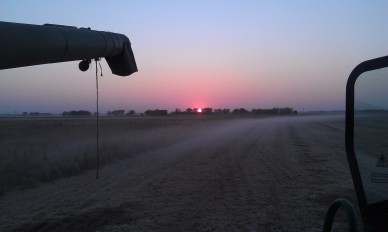 Harvesting soybeans at sunset 2012
